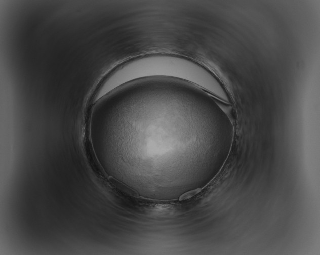 X0000095680060200801291205