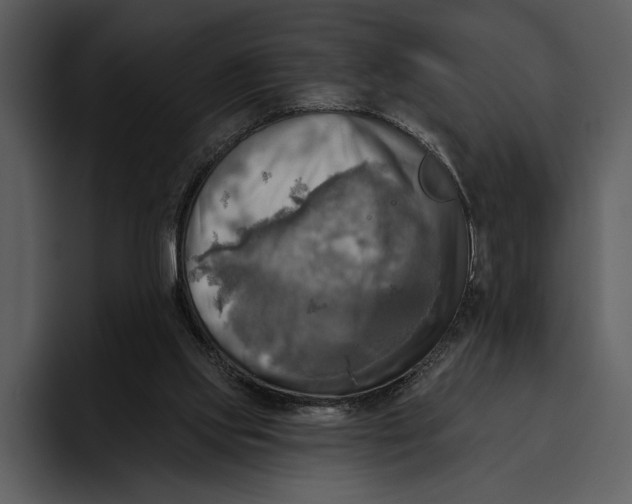 X0000095680061200801291205