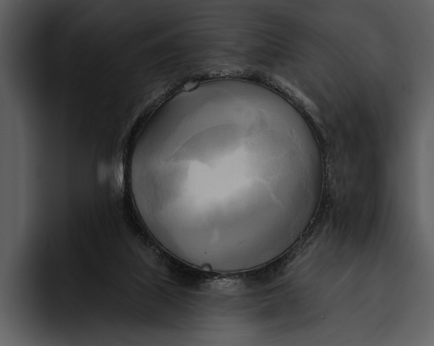 X0000095680067200801291205