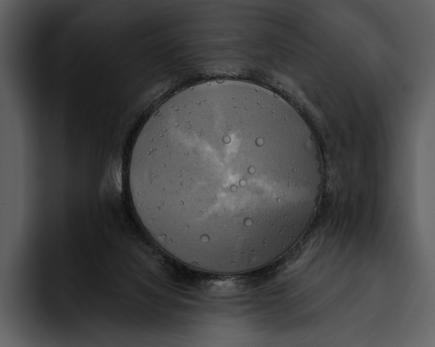 X0000095680068200801291205