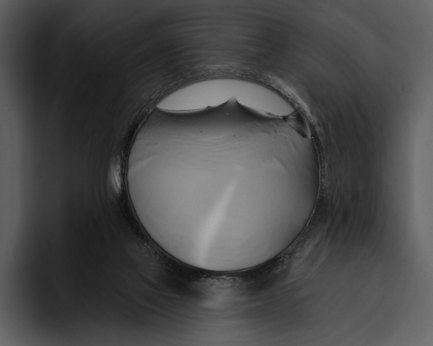 X0000095680069200801291205