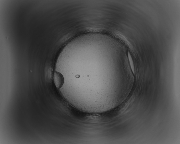 X0000095680071200801291205