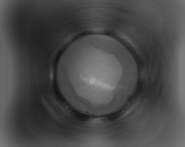 X0000095680072200801291205