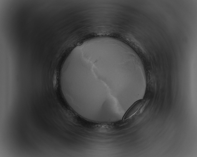 X0000095680074200801291205