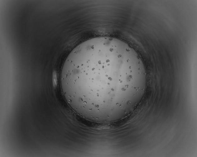 X0000095680075200801291205