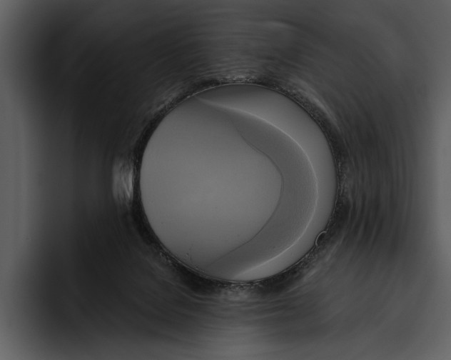 X0000095680076200801291205