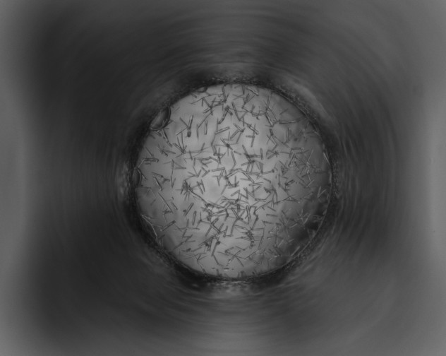 X0000095680077200801291205