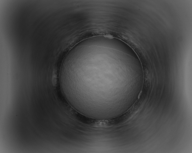 X0000095680080200801291205