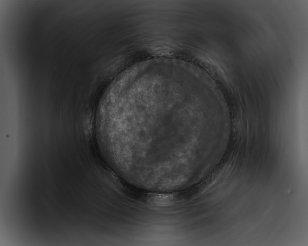 X0000095680081200801291205