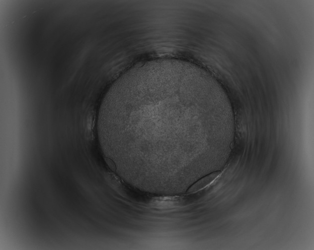 X0000095680082200801291205