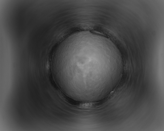 X0000095680084200801291206