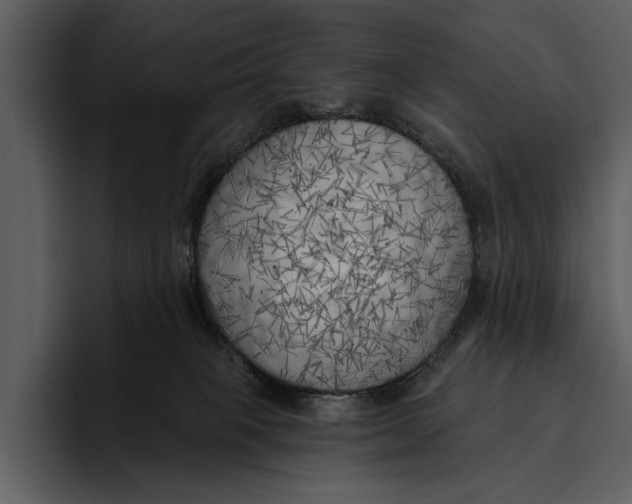 X0000095680085200801291206