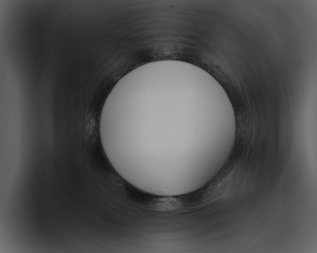 X0000095680087200801291206