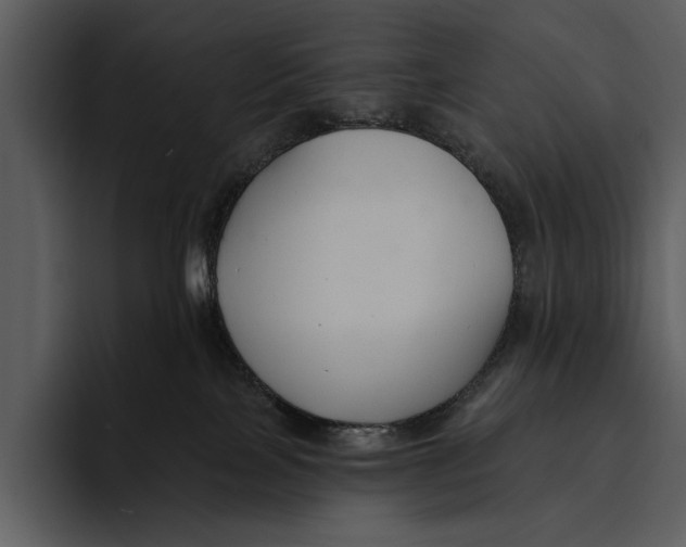 X0000095680089200801291206