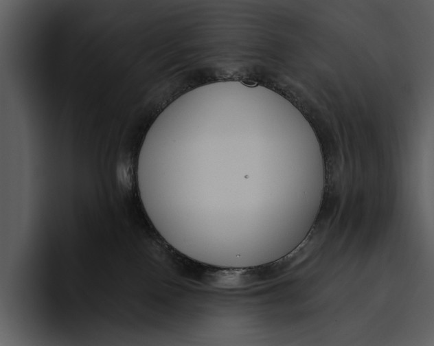 X0000095680090200801291206