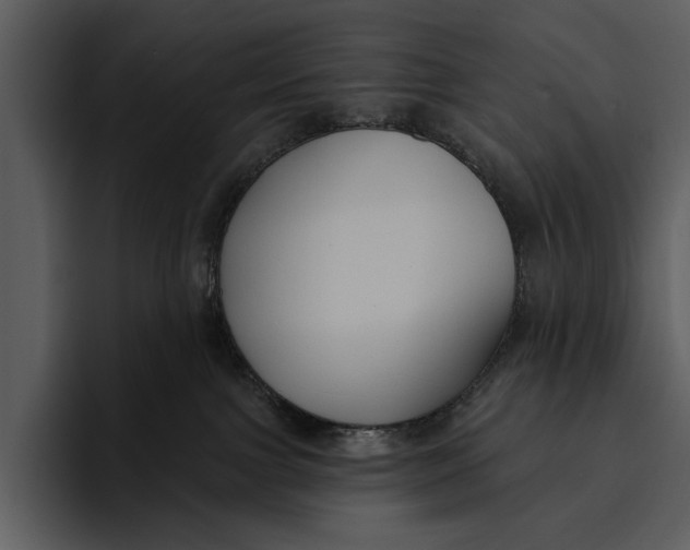 X0000095680091200801291206