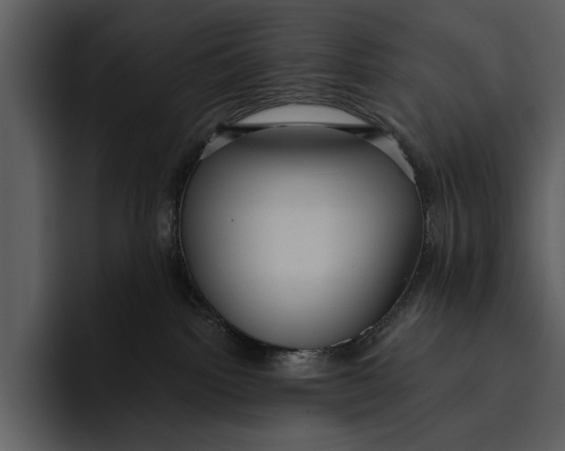 X0000095680092200801291206