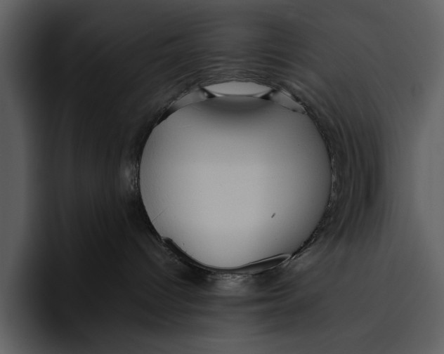 X0000095680096200801291206