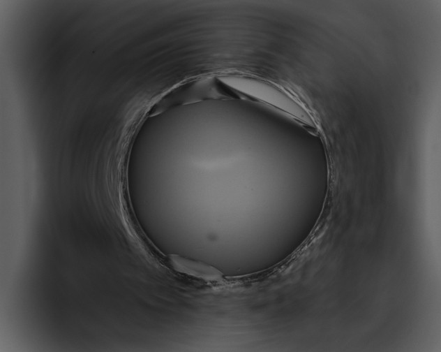 X0000095680097200801291205