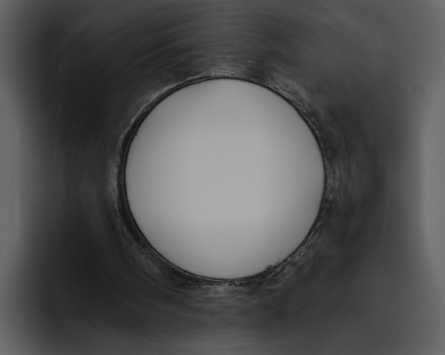 X0000095680098200801291205