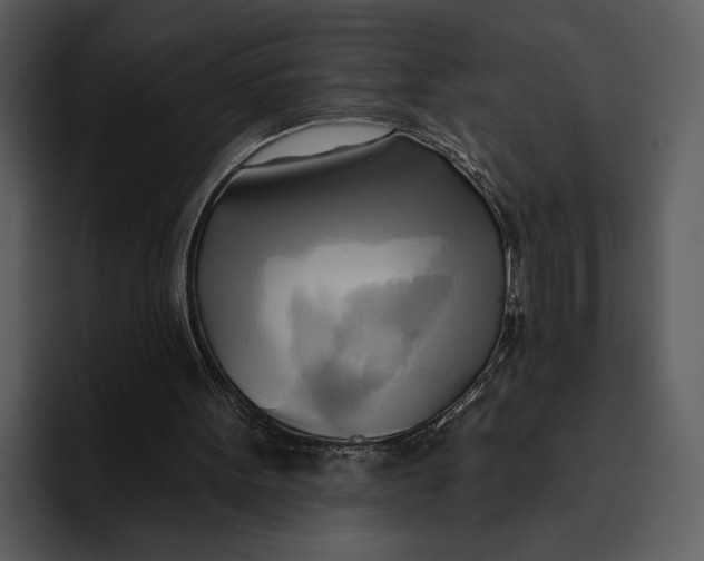 X0000095680099200801291205