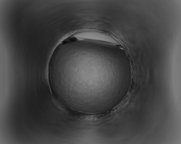 X0000095680100200801291205