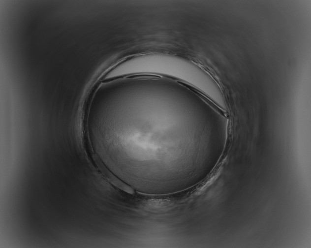 X0000095680101200801291205