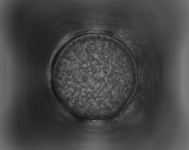 X0000095680102200801291205