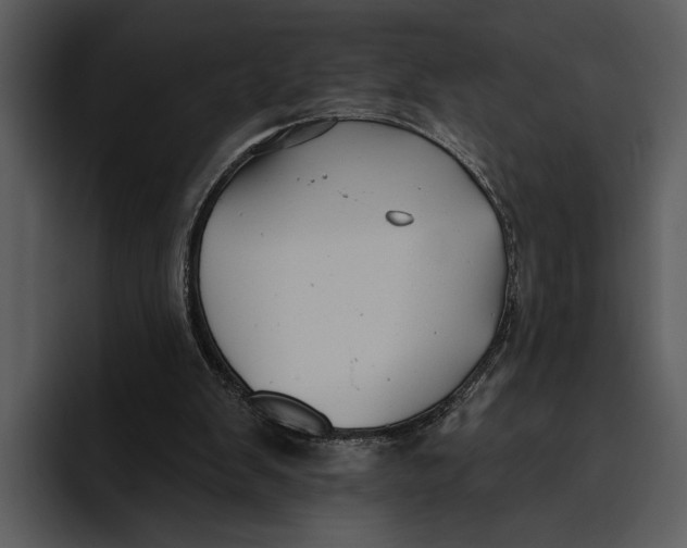 X0000095680103200801291205