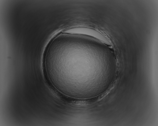 X0000095680104200801291205