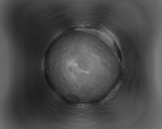 X0000095680105200801291205