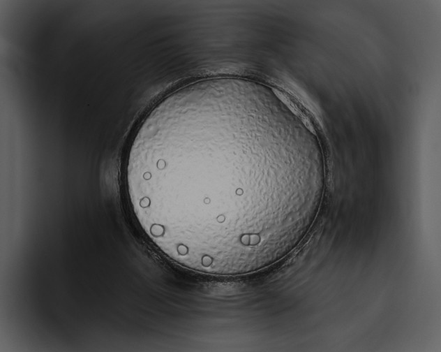 X0000095680107200801291205