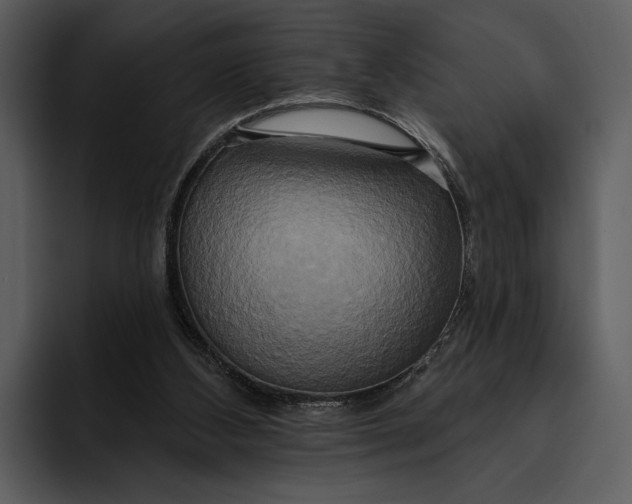 X0000095680108200801291205