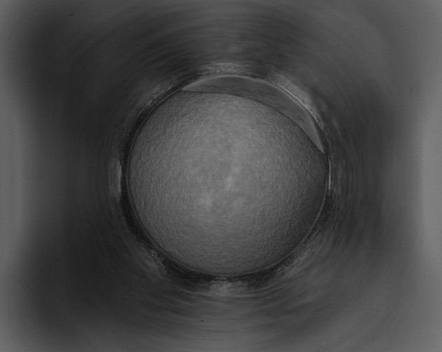 X0000095680109200801291205