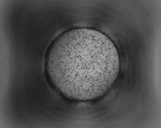 X0000095680111200801291205