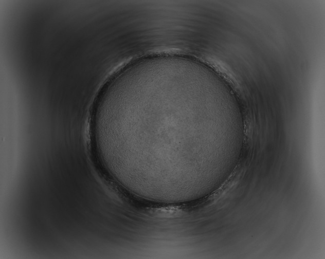 X0000095680112200801291205