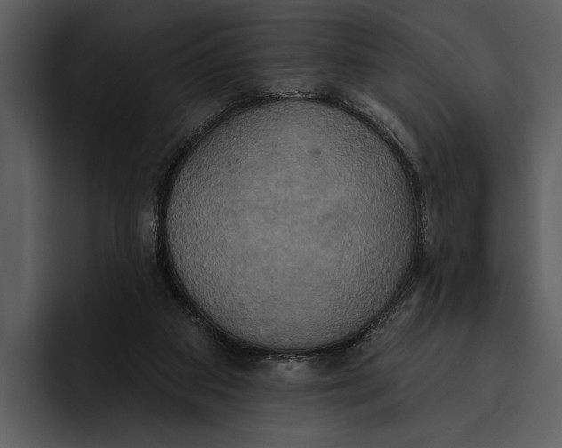 X0000095680113200801291205