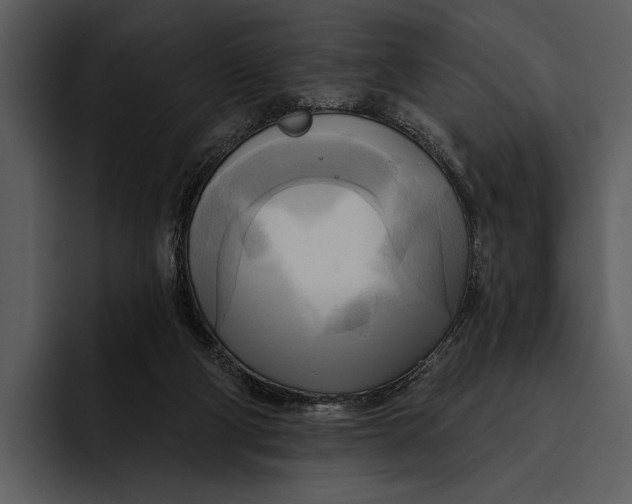 X0000095680114200801291205