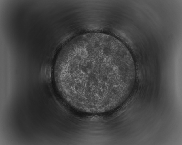 X0000095680115200801291205