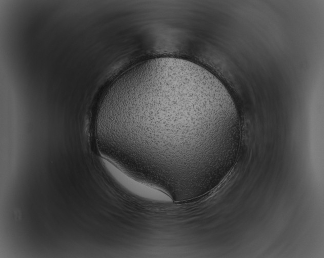 X0000095680116200801291205