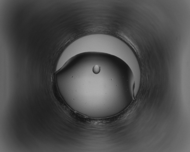 X0000095680117200801291205