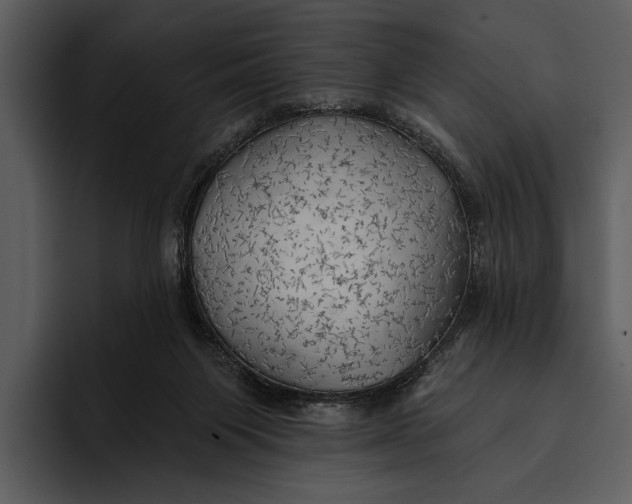 X0000095680119200801291205