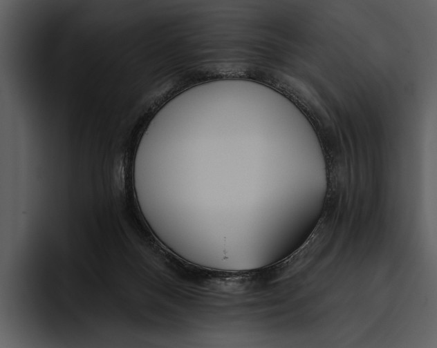 X0000095680120200801291205