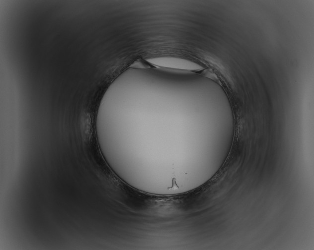 X0000095680121200801291205