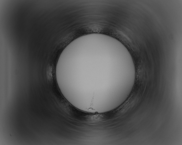 X0000095680122200801291205