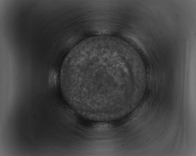 X0000095680123200801291205