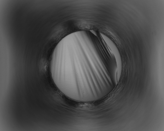 X0000095680125200801291205