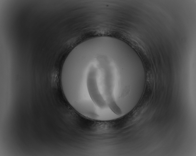 X0000095680127200801291205