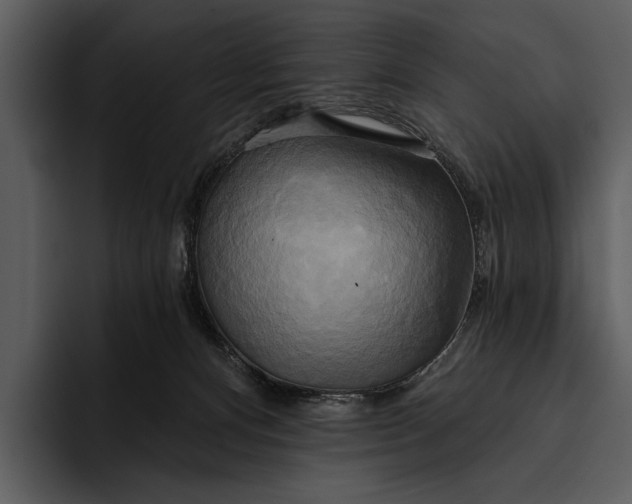 X0000095680128200801291205