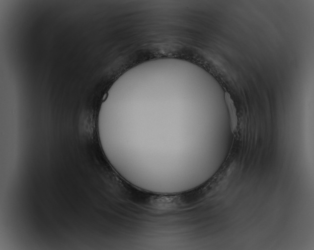 X0000095680129200801291205